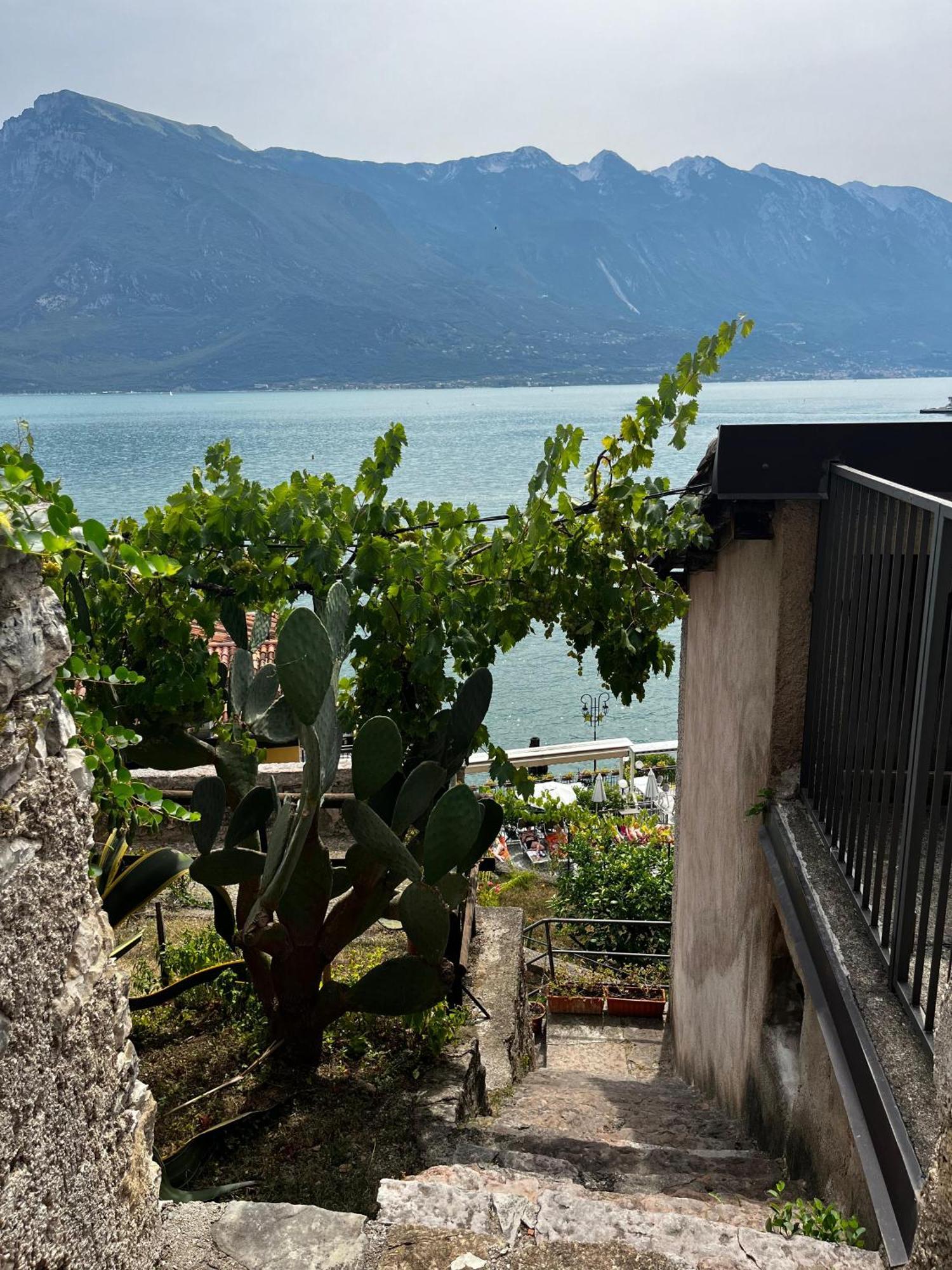 Casa Limonaia San Rocco Apartment Limone sul Garda Ngoại thất bức ảnh